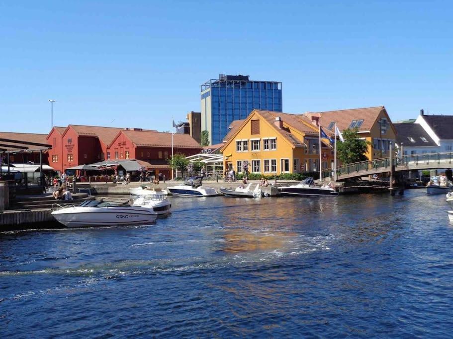 Moblert I Det Fineste Stedet I Byen Kristiansand